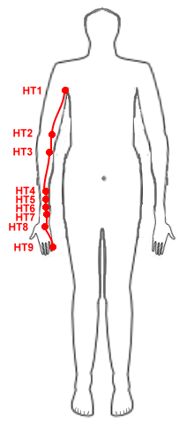 Akupunktur Meridiane HT