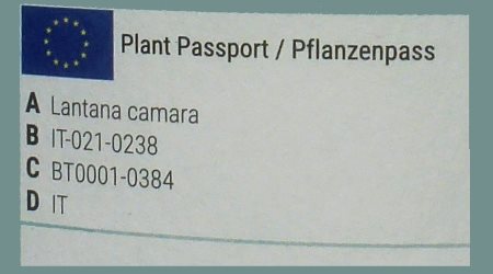 EU-Pflanzenpass-Etikett
