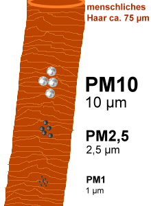 Feinstaubpartikel - Größenverhältnis