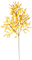 Goldener Zweig