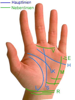 Hand mit Hauptlinien und Nebenlinien