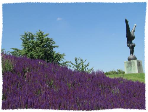 Lavendelfeld im Münchener Olympiapark