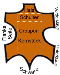 Leder - Hauteinteilung