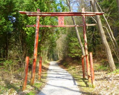 Torii (Forstlicher Versuchsgarten Grafrath)