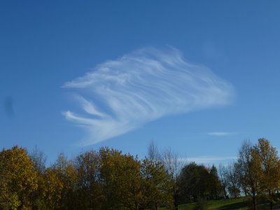 Cirrus fibratus (Ci fib)